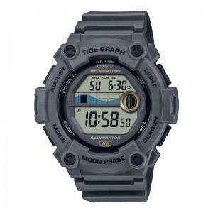 Relojes CASIO WS1300H-8AV Hombre | TGKMS-0987